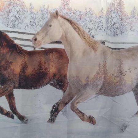 Panels - Horses